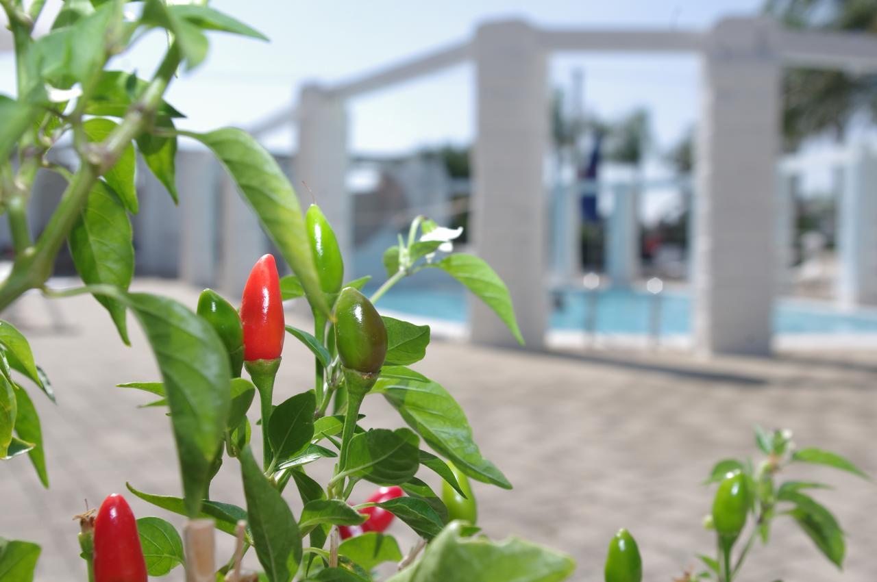 Hotel Nicolaj 폴리나노 아마레 외부 사진